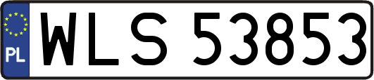 WLS53853