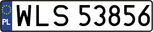 WLS53856