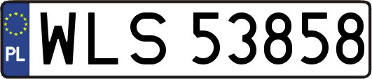 WLS53858