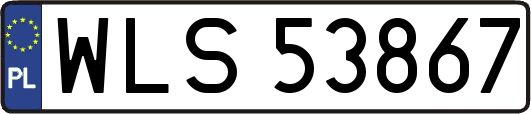 WLS53867