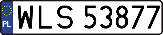WLS53877