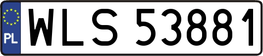 WLS53881