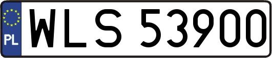WLS53900