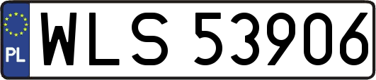 WLS53906