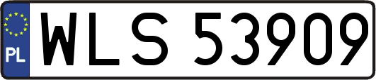 WLS53909