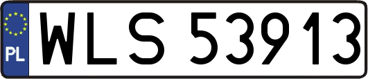 WLS53913