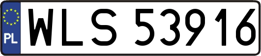 WLS53916