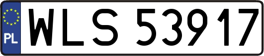 WLS53917