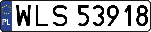 WLS53918