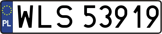 WLS53919