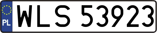 WLS53923