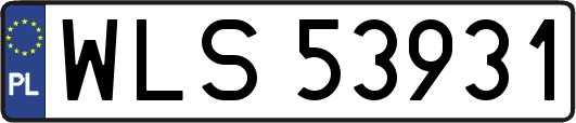 WLS53931