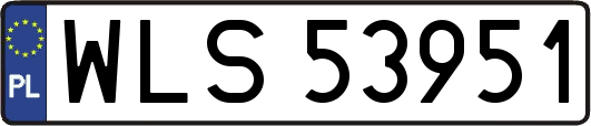 WLS53951