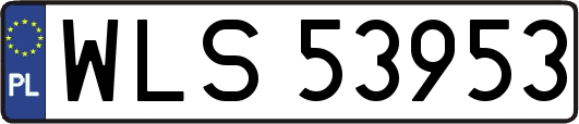 WLS53953