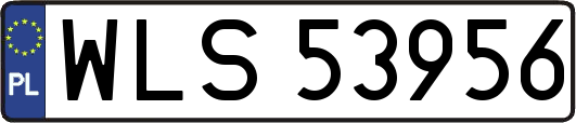WLS53956