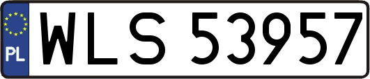 WLS53957