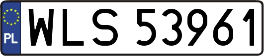 WLS53961