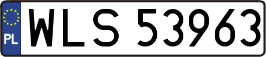 WLS53963