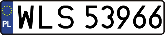 WLS53966