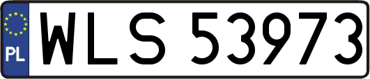 WLS53973