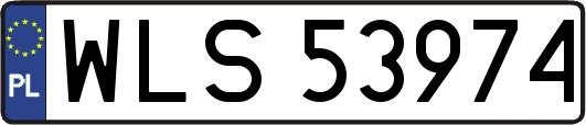 WLS53974