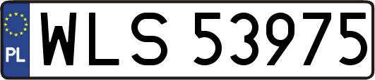 WLS53975
