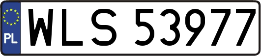 WLS53977