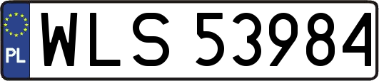 WLS53984