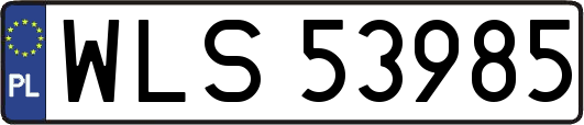WLS53985