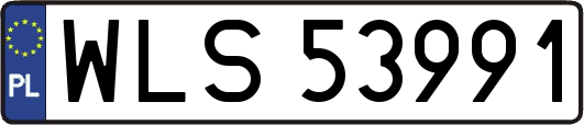 WLS53991