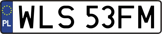 WLS53FM