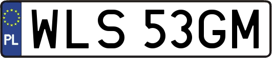 WLS53GM