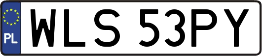 WLS53PY