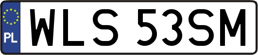 WLS53SM