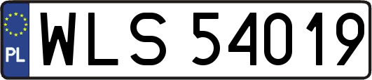 WLS54019
