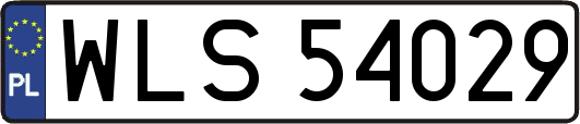 WLS54029