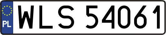 WLS54061