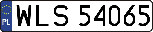 WLS54065