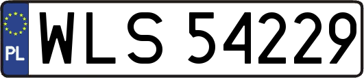 WLS54229