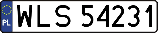 WLS54231