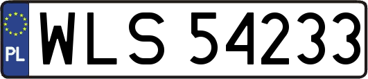 WLS54233
