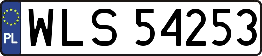 WLS54253