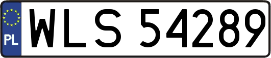 WLS54289