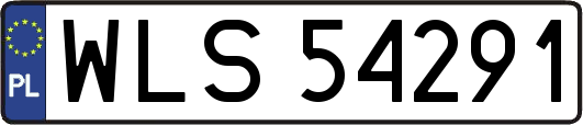 WLS54291