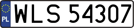 WLS54307