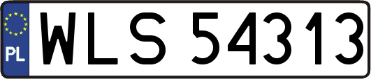 WLS54313