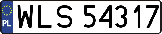WLS54317