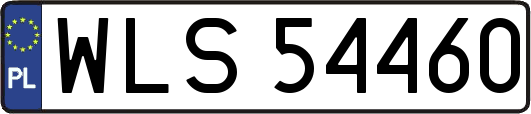 WLS54460