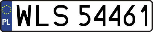 WLS54461