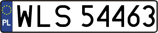 WLS54463